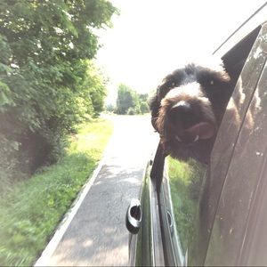 Meet your Posher, Beth